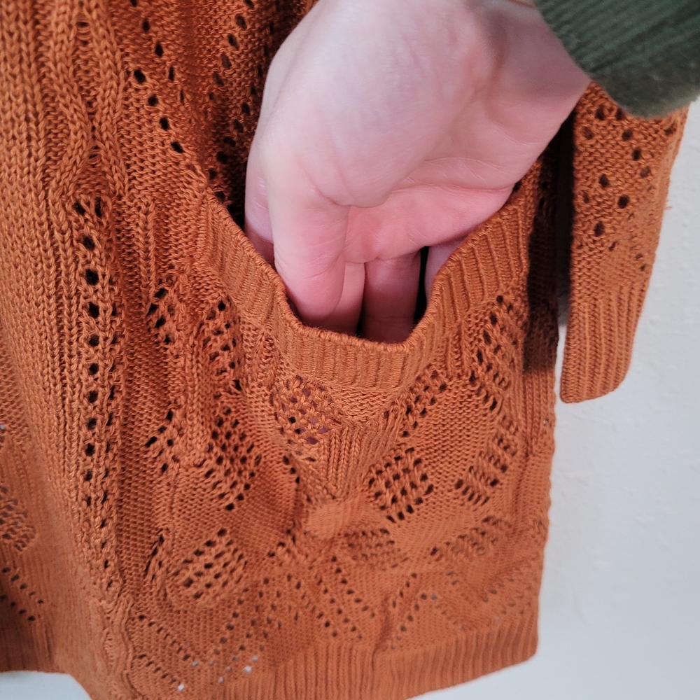 Market & Spruce Openwork Knit Cardigan - Rust - Picture 4 of 14